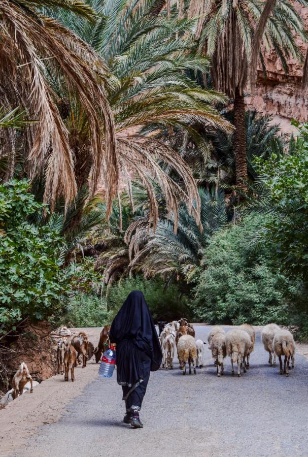Auberge Kasbah Chez Amaliya Tafraout Bagian luar foto