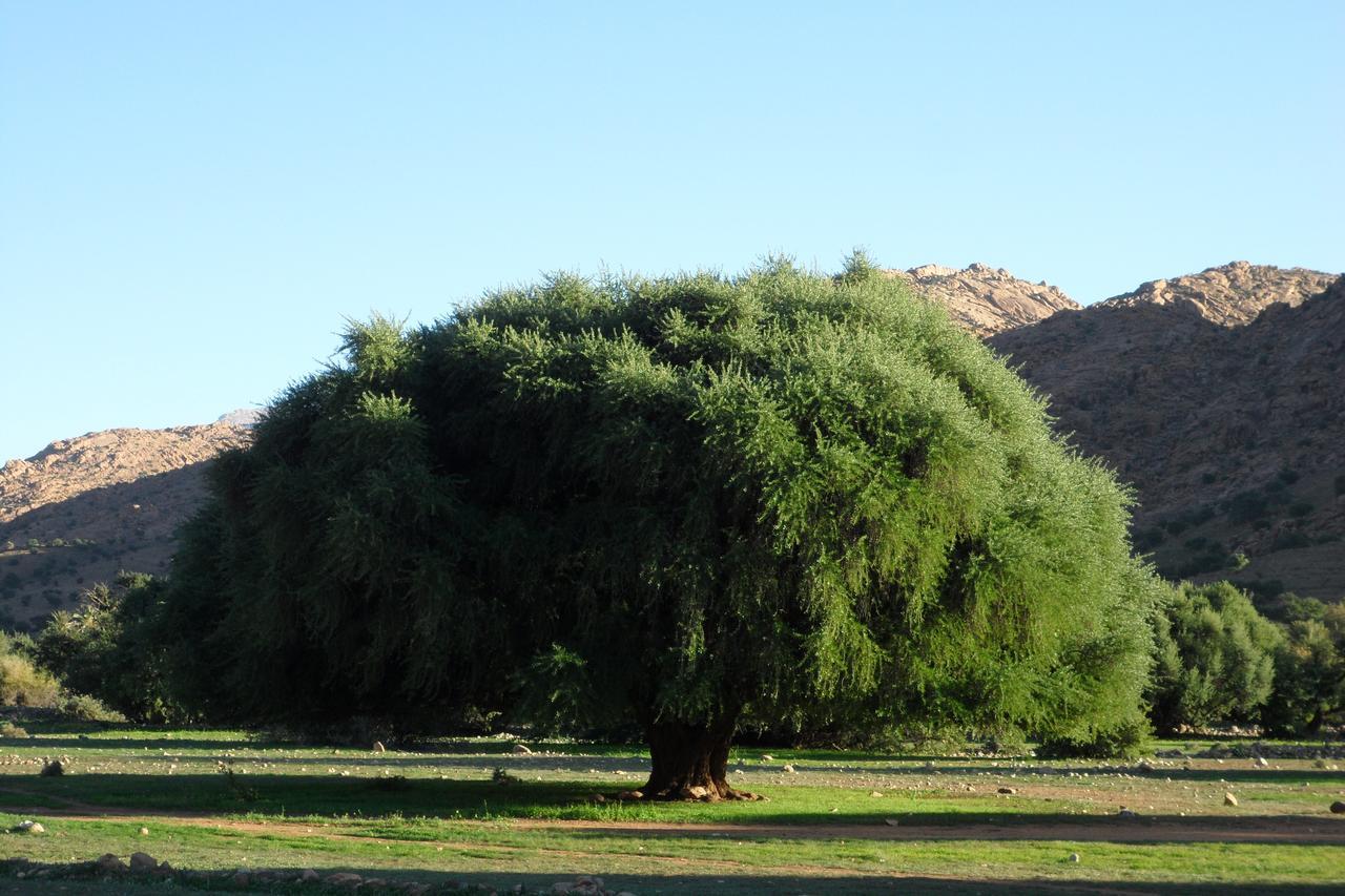 Auberge Kasbah Chez Amaliya Tafraout Bagian luar foto